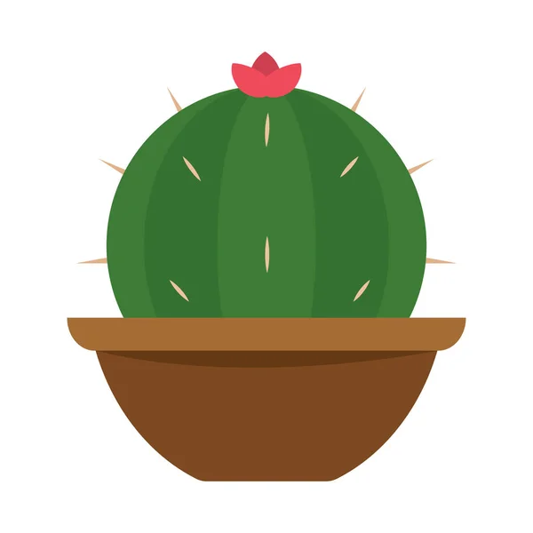 Icono de cactus en una maceta — Vector de stock