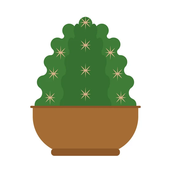 Icône de cactus dans une plante en pot — Image vectorielle