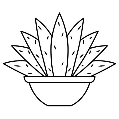 Bir saksı bitkisindeki kaktüs simgesi