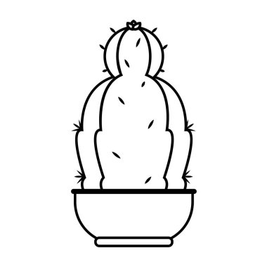 Bir saksı bitkisindeki kaktüs simgesi