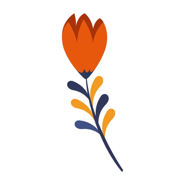 Isolated tulip flower — Stock Vector