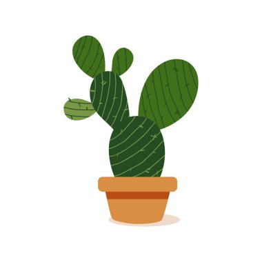 İzole kaktüs simgesi