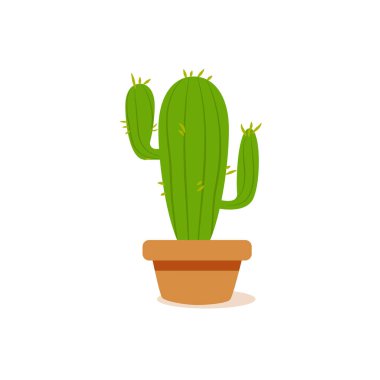 İzole kaktüs simgesi