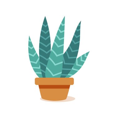 İzole kaktüs simgesi