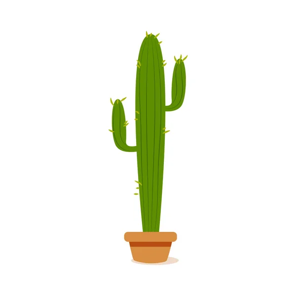 Isolée icône de cactus — Image vectorielle