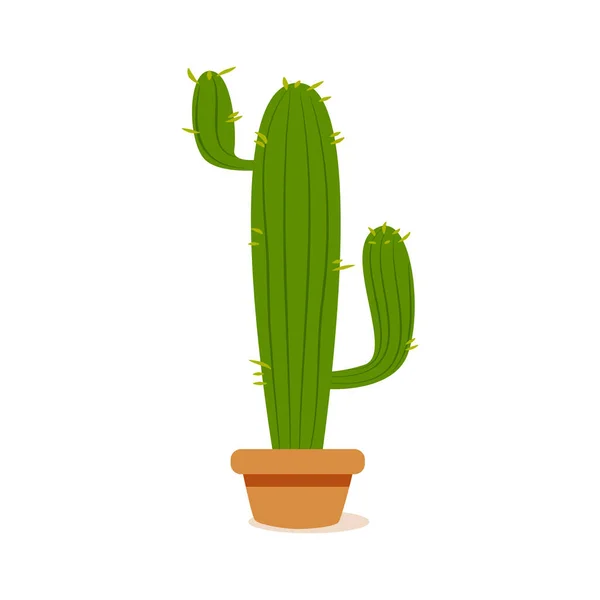 Isoleret kaktus ikon – Stock-vektor
