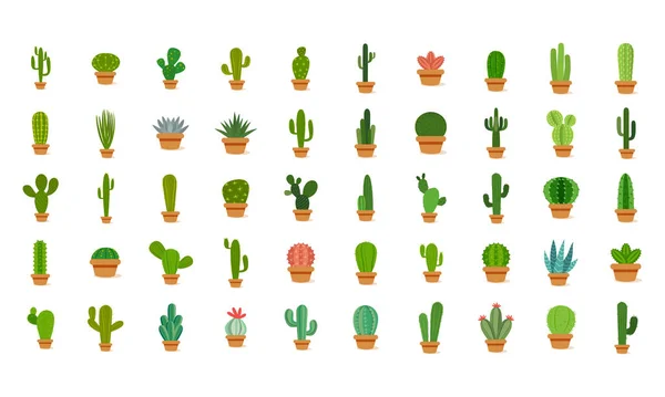 Conjunto de cactus en una maceta — Vector de stock