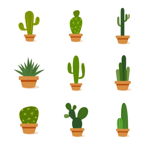 Sada kaktusů v květináčích — Stockový vektor