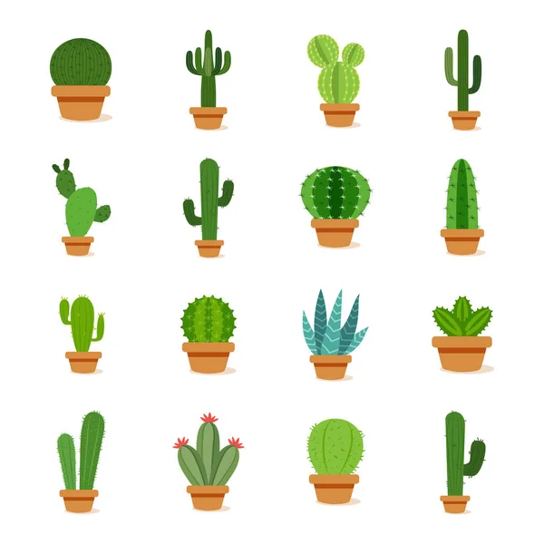 Set of cactus in a potplants — Stock Vector