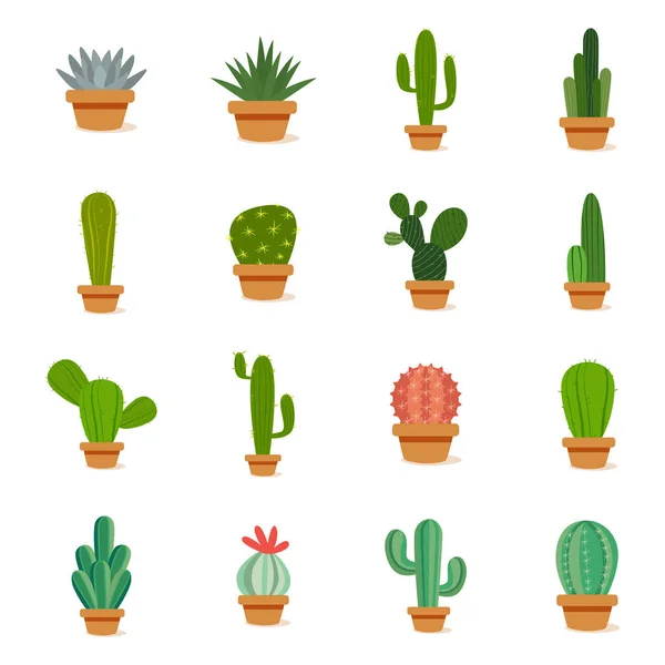 Set of cactus in a potplants — Stock Vector