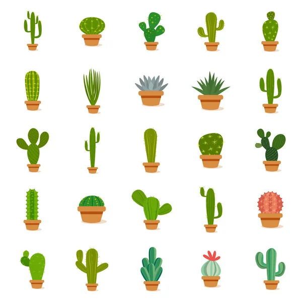 Conjunto de cactus en una maceta — Vector de stock