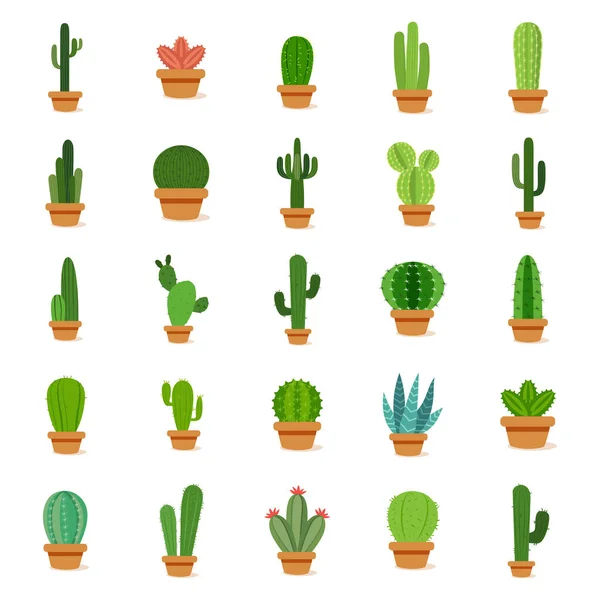 Conjunto de cactus en una maceta — Vector de stock