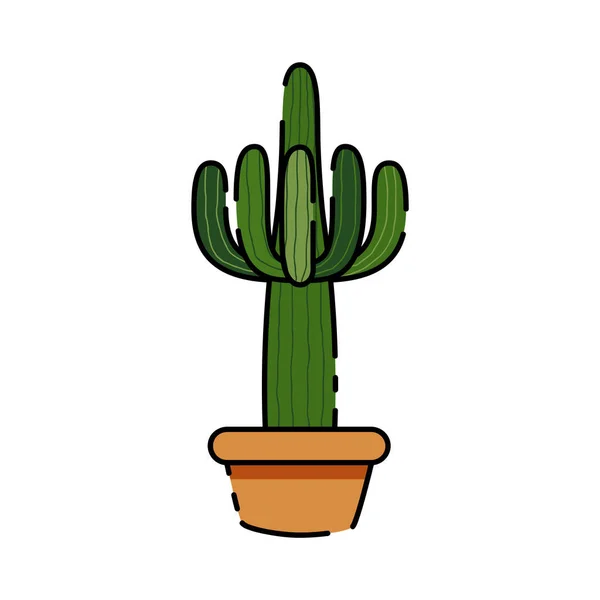 Isolated cactus icon — Stock Vector