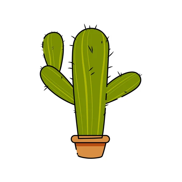 Isolated cactus icon — Stock Vector