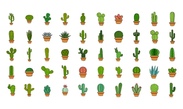 Conjunto de cactus en una maceta — Vector de stock