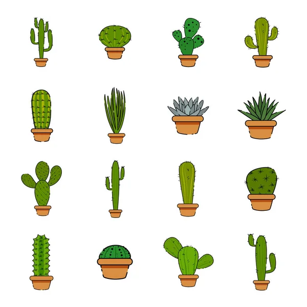 Conjunto de cactus en una maceta — Archivo Imágenes Vectoriales