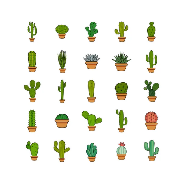 Set cactus in een potplant — Stockvector
