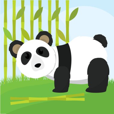 Şirin panda çizgi filmi