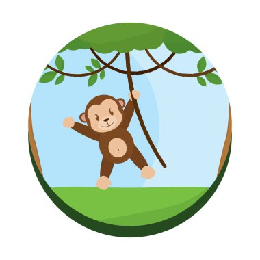 Şirin küçük maymun çizgi filmi