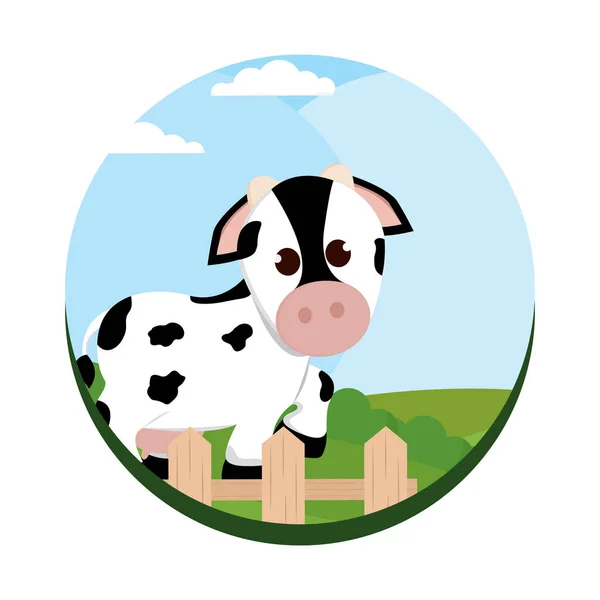 Roztomilé krávy kreslené — Stockový vektor