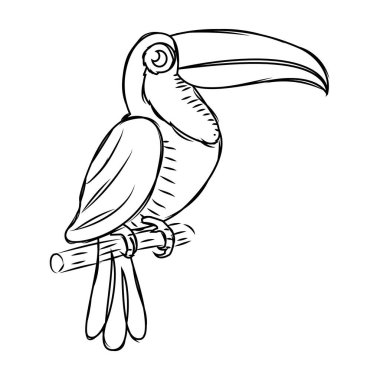 Şirin bir pelikan çizimi.