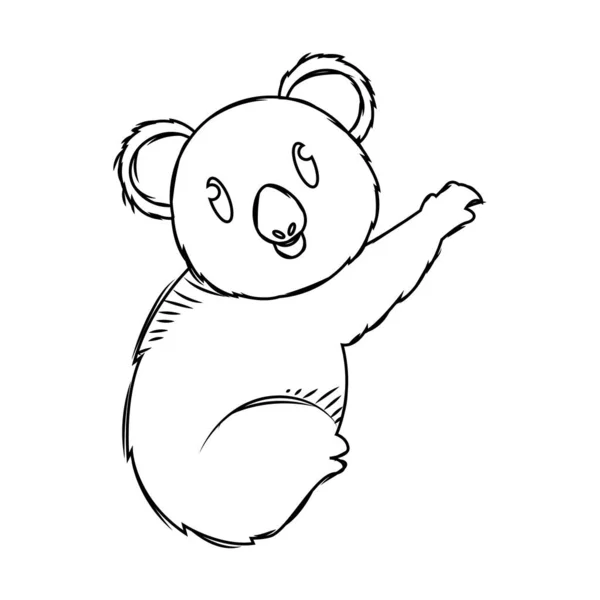 Cartoon of a cute koala sketch — Stock Vector