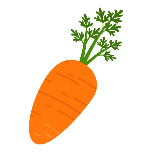 Icône de carotte isolée — Image vectorielle