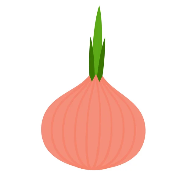 Icono de cebolla aislada — Vector de stock