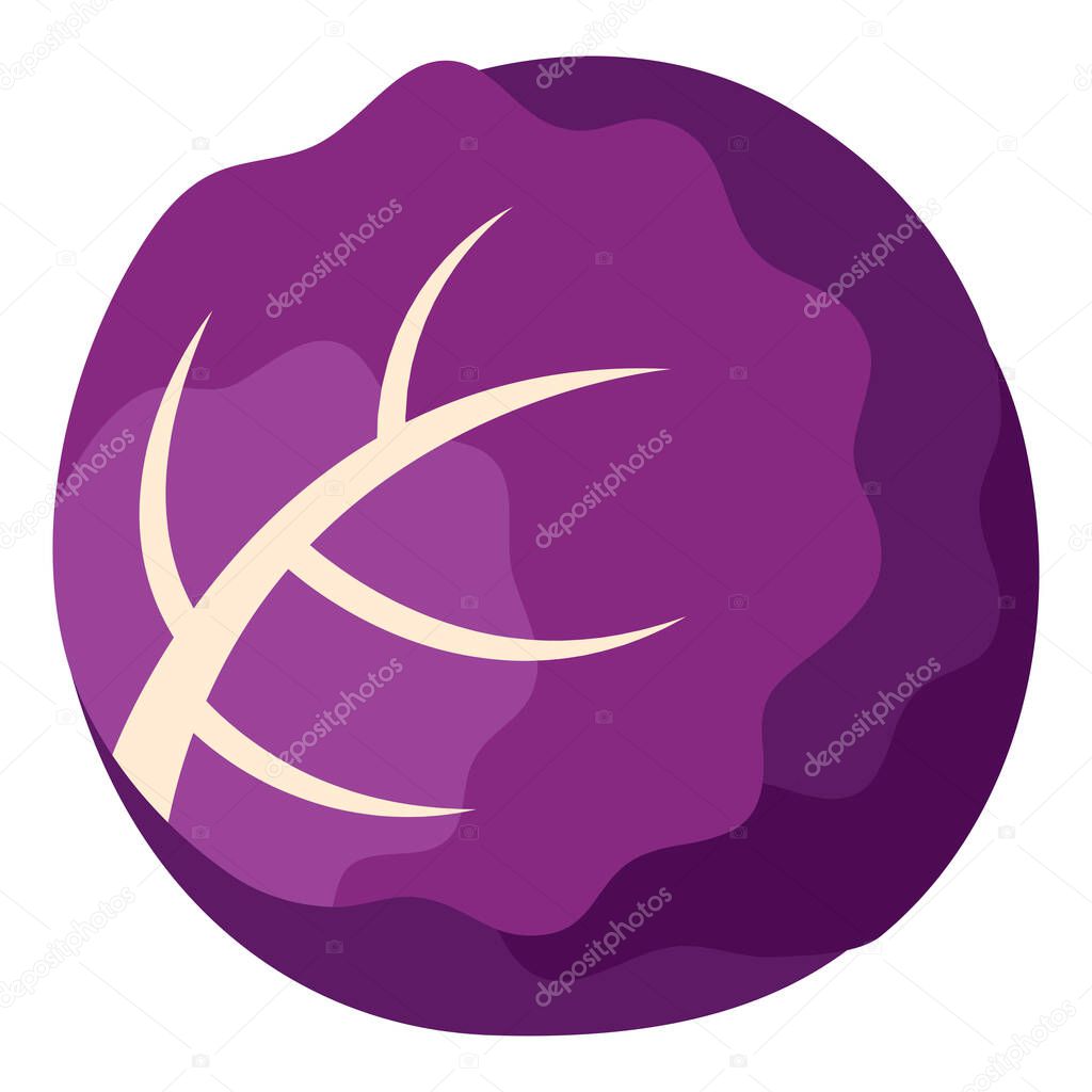 Isolated purple cabbage icon
