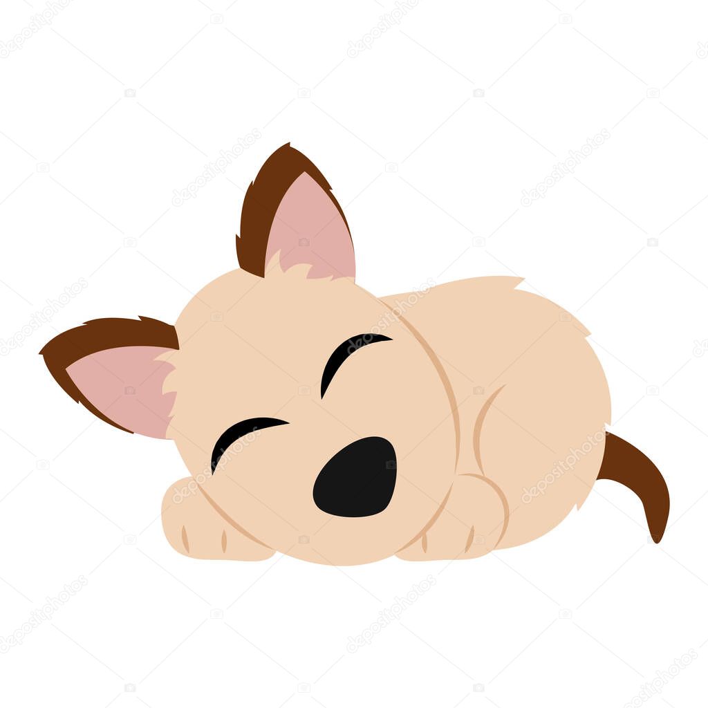 Isolated cute dog sleeping