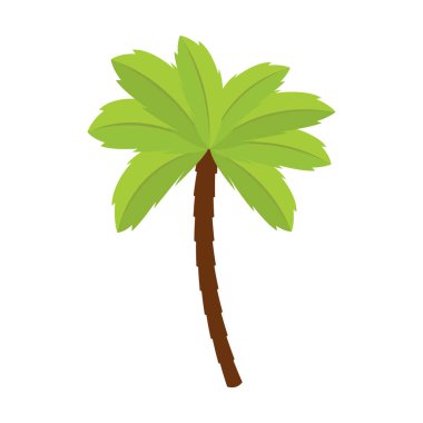 İzole edilmiş palmiye ağacı