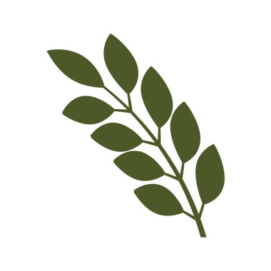 İzole edilmiş yeşil yaprak dalı