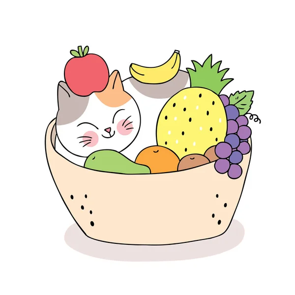Cartoon Niedliche Katze Schläft Und Früchte Korb Vektor — Stockvektor