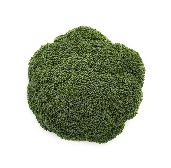 Fresh Green Broccoli Isolated White Background Closeup Top View — Stock Photo, Image