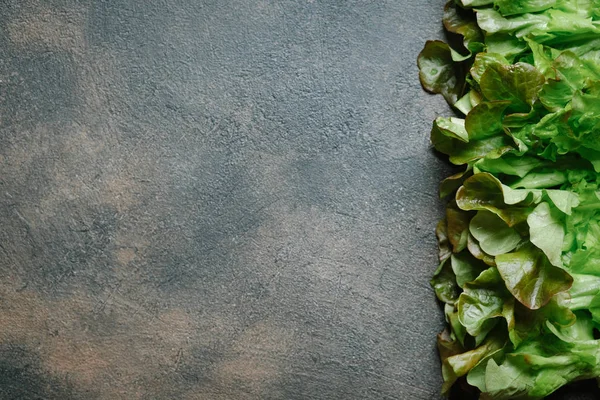 Fresh Green Lettuce Salad Dark Background Top View Copy Space — Stock Photo, Image