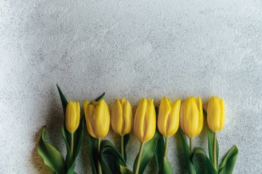 Hafif arka planda sarı lale buketi. Bahar çiçekleri.