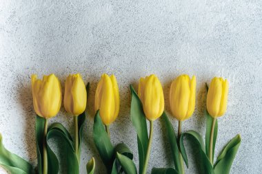 Hafif arka planda sarı lale buketi. Bahar çiçekleri.
