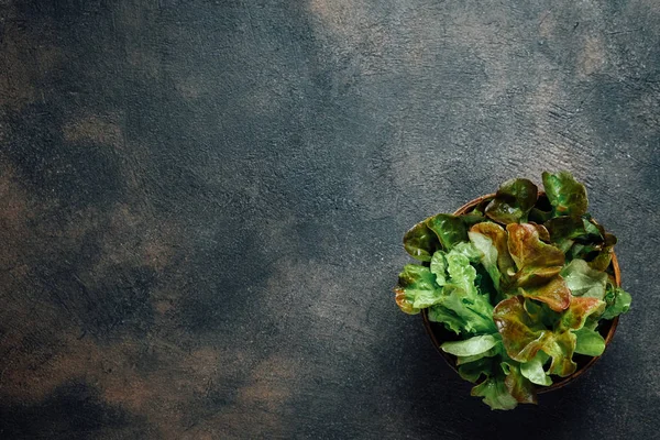 Fresh Green Lettuce Salad Dark Background Top View Copy Space — Stock Photo, Image