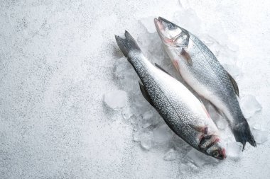 Işık taşı zemin üzerinde buzda taze deniz kabuğu balığı, fotokopi alanı ile üst görünüm