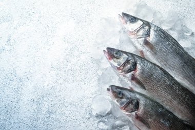 Beyaz taş zemin üzerinde buzda taze deniz kabuğu balığı, kopyalama alanı ile üst görünüm