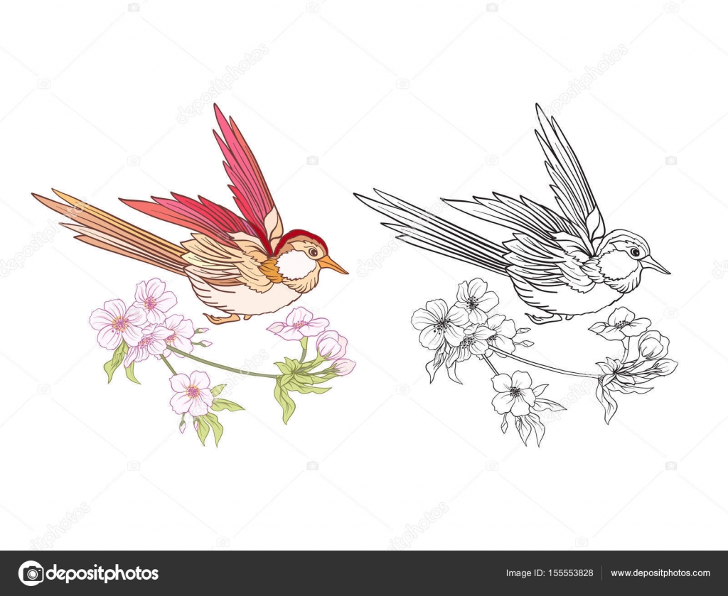 Fiori e inghiottire Insieme di campione colorato e disegno di assieme Delineare il disegno da colorare per adulti da colorare a mano