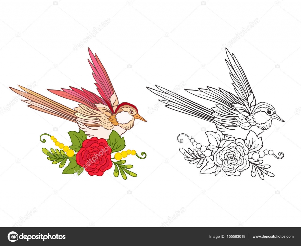 Fiori e inghiottire Insieme di campione colorato e disegno di assieme Delineare il disegno da colorare per adulti da colorare a mano