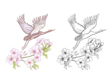 Çiçekler ve vinç. Renkli örnek ve çizim anahat.