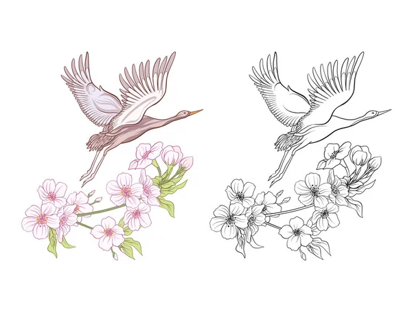 Fleurs et grue. Ensemble d'échantillon coloré et dessin de contour . — Image vectorielle