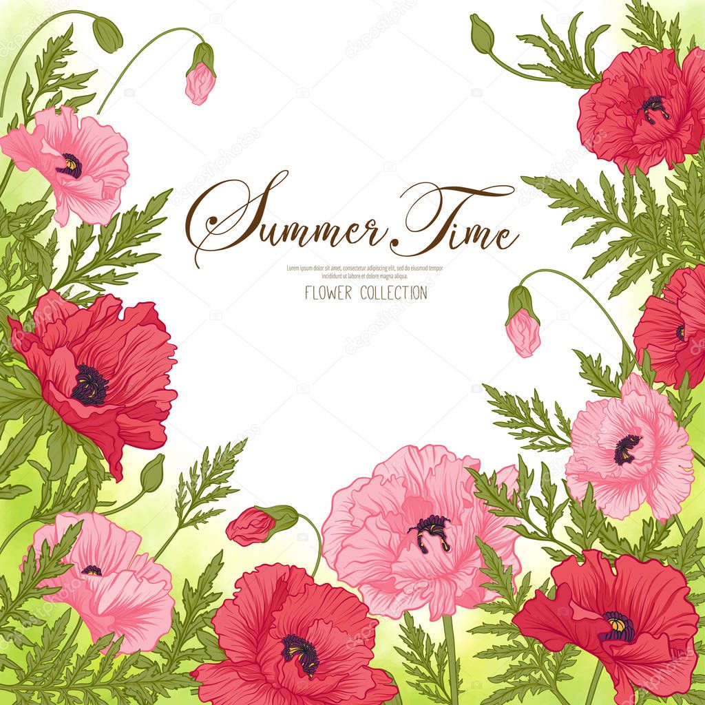 Summer time card with red and pink poppy on green watercolor bac