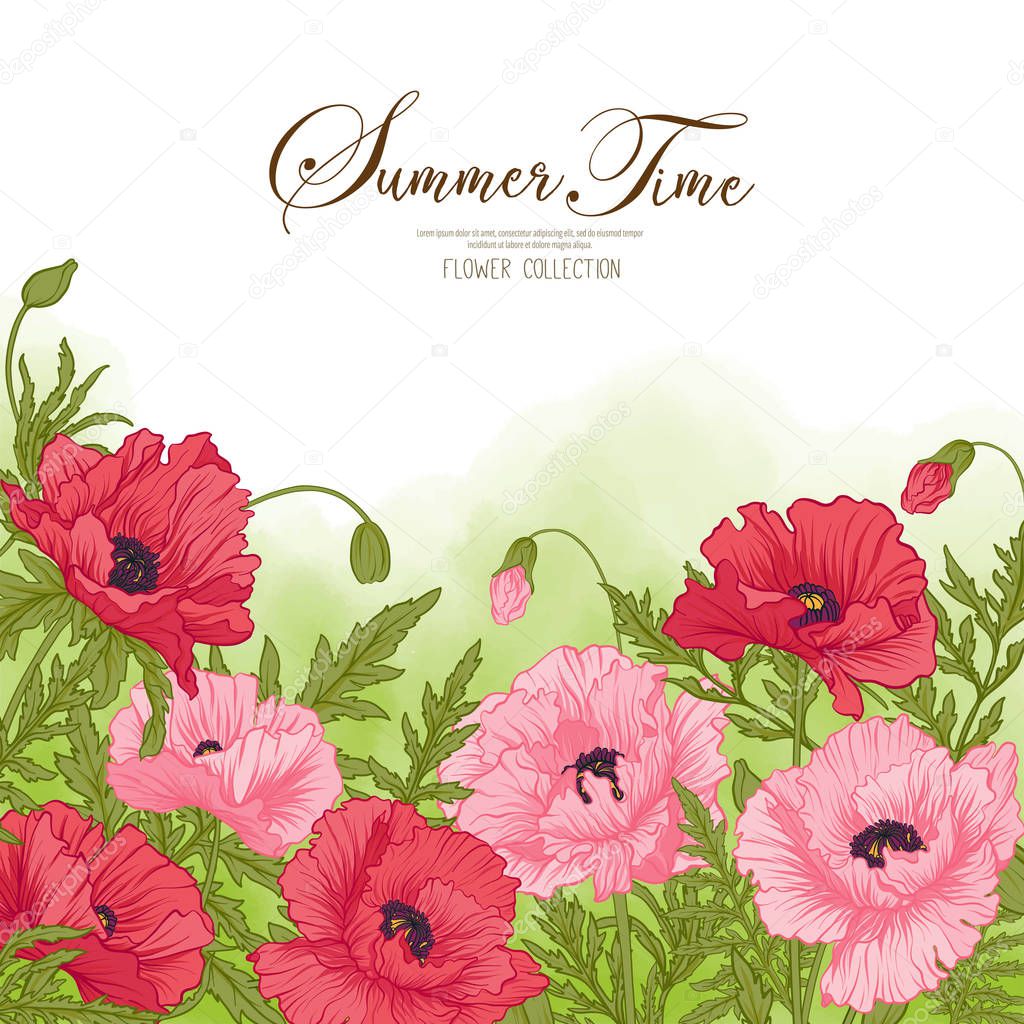 Summer time card with red and pink poppy on green watercolor bac