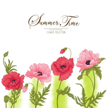 Yaz zaman çizelgesi kırmızı ve yeşil suluboya bac pembe poppy