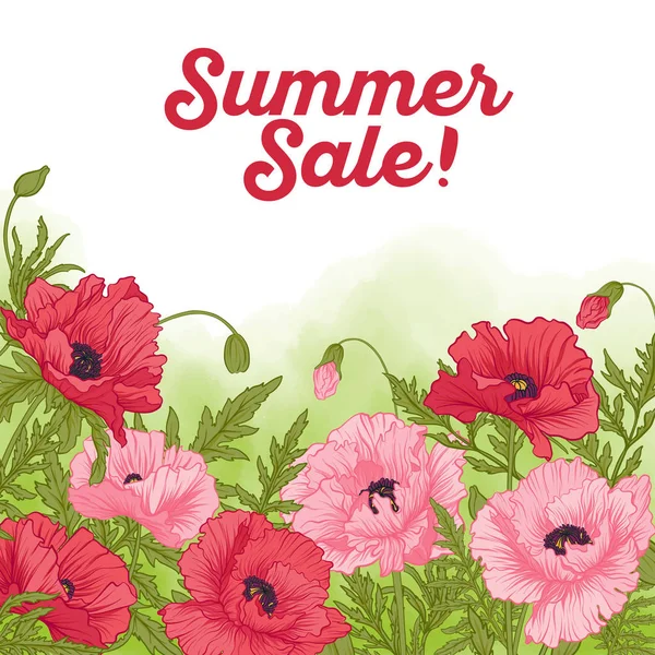 Summer sale card with red and pink poppy on green watercolor bac — Stock Vector