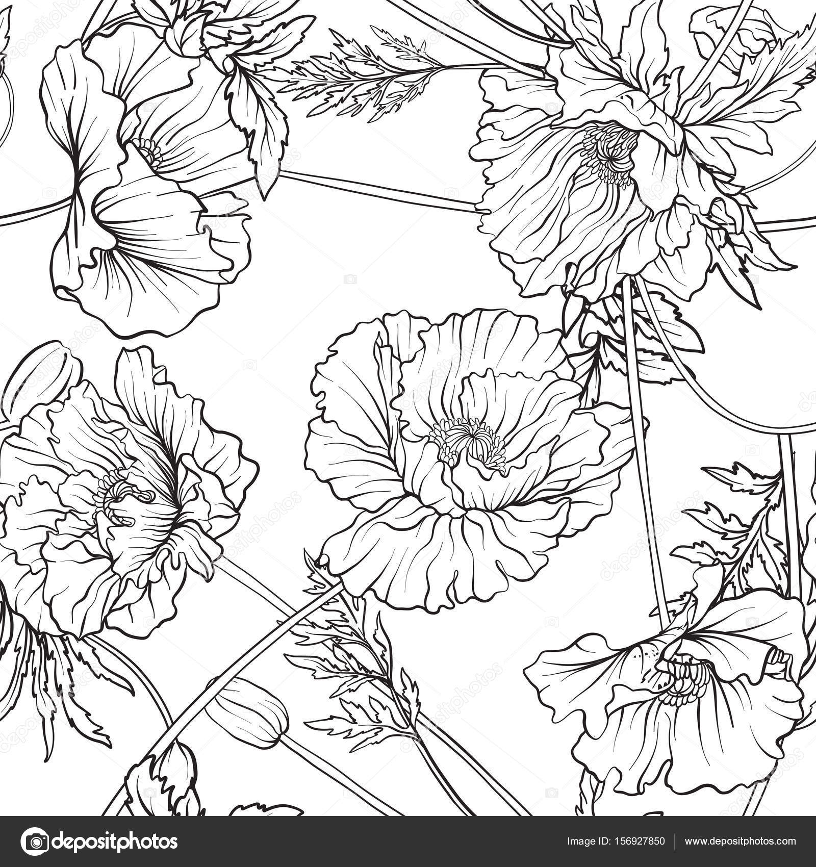 Modello senza cuciture con i fiori del papavero in botanica stile vintage Delineare il disegno da colorare per adulti da colorare a mano