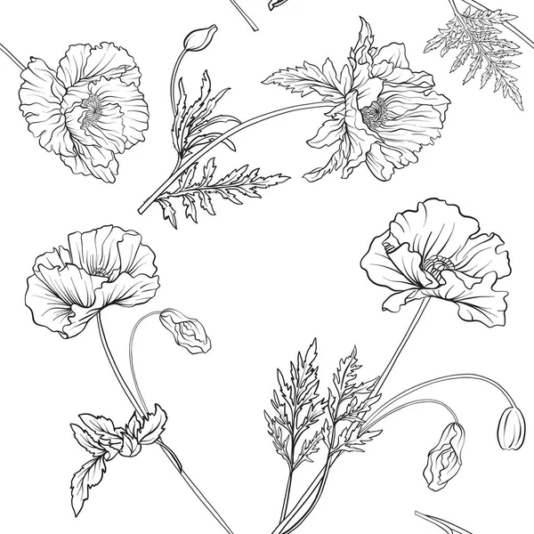 Naadloze patroon met poppy bloemen in botanische vintage stijl. — Stockvector